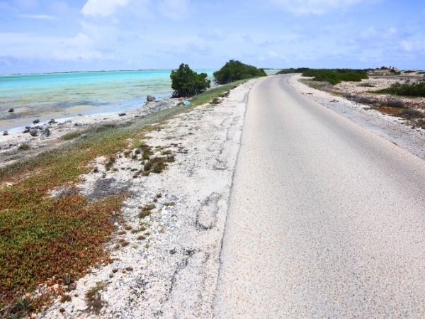 Coastal Road in Bonaire